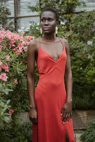 Attraente ragazza afroamericana con i capelli corti in abito rosso in posa in giardino con fiori — Foto stock