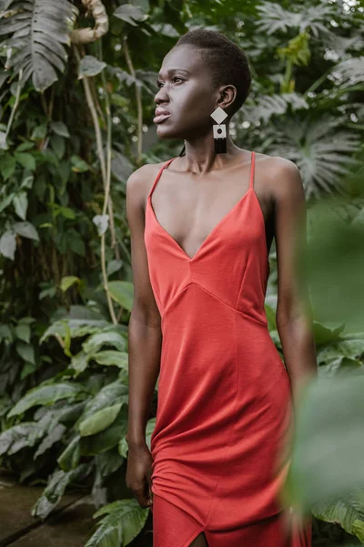Hermosa chica afroamericana elegante con el pelo corto posando en vestido rojo en el jardín - foto de stock