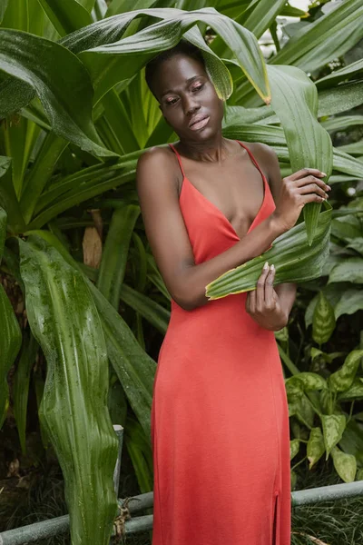 Красива афроамериканка позує в червоній сукні в тропічному саду — стокове фото