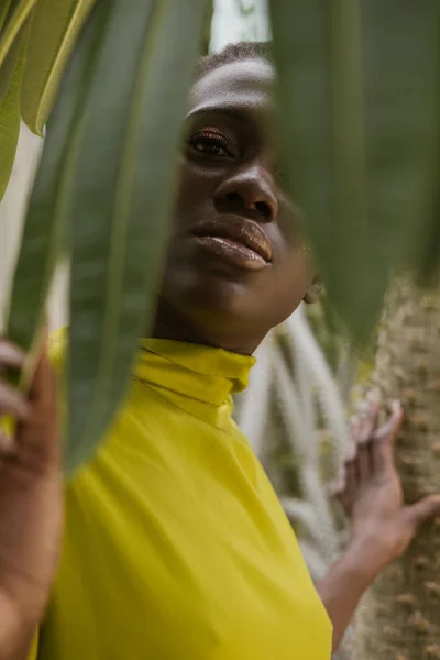 Selektiver Fokus der modischen afrikanisch-amerikanischen Mädchen posiert in gelbem Kleid hinter Blättern — Stockfoto