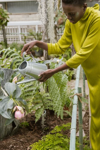 Fashionable african american girl watering tropical plants in greenhouse — Stock Photo