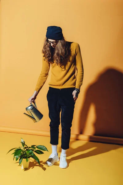 Homme à la mode arrosage plante verte, sur jaune — Photo de stock