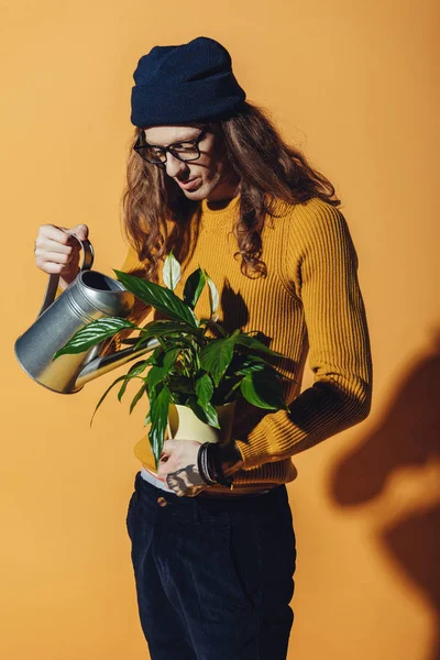 Stilvoller Mann mit langen Haaren, der grüne Pflanze wässert, auf gelb — Stockfoto
