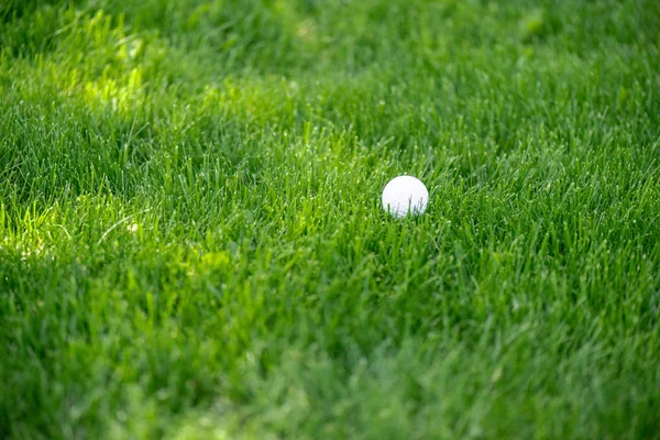 Close up view of white golf ball on green lawn — Stock Photo