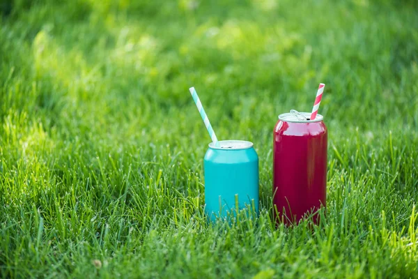 Close up view of drinks in cans with straws on green grass — Stock Photo
