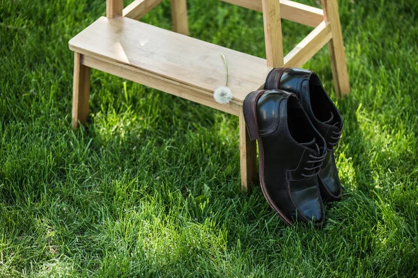 Vista de cerca de zapatos de cuero negro y diente de león en escaleras de madera en hierba verde - foto de stock
