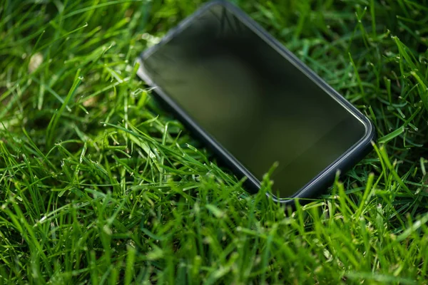 Vista de cerca del teléfono inteligente con pantalla en blanco en el césped verde - foto de stock