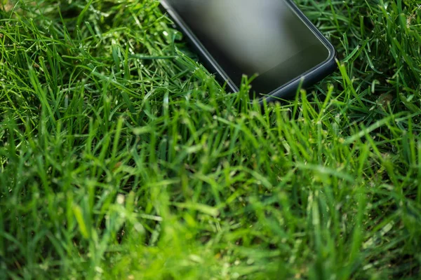 Vista de cerca del teléfono inteligente con pantalla en blanco en el césped verde - foto de stock
