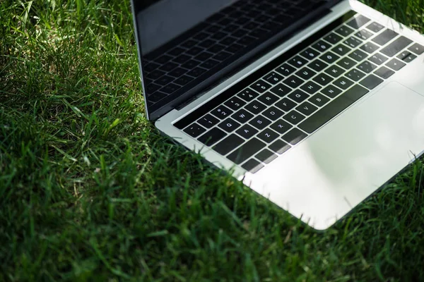 Vista de cerca de la computadora portátil abierta con pantalla en blanco sobre hierba verde - foto de stock