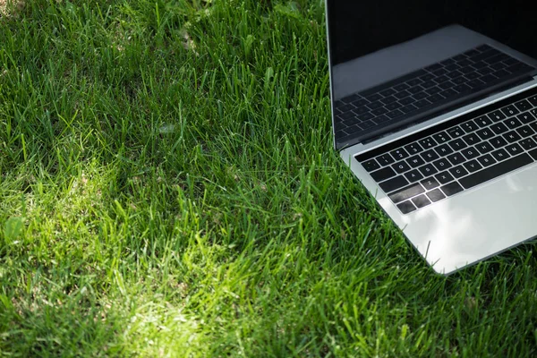 Vista de perto do laptop aberto com tela em branco na grama verde — Fotografia de Stock