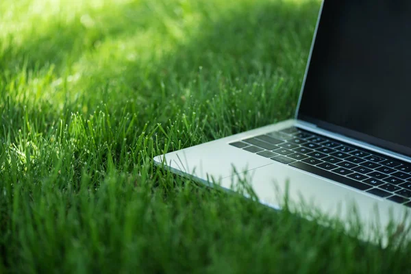 Laptop — Stock Photo