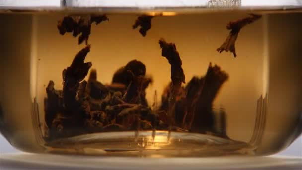 Gebrouwen bladeren van zwarte blad thee. Time-lapse, close ups — Stockvideo