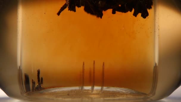 Листья чая из черного листа завариваются в стеклянном чайнике, замедленной съемки — стоковое видео