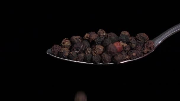 Schwarze Pfeffererbsen, die aus dem Eisenlöffel fallen, schwarzer Hintergrund, Zeitlupe — Stockvideo