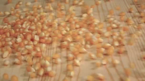トウモロコシ穀物は、テーブルの上に落ちています。クローズ アップ。スローモーション — ストック動画