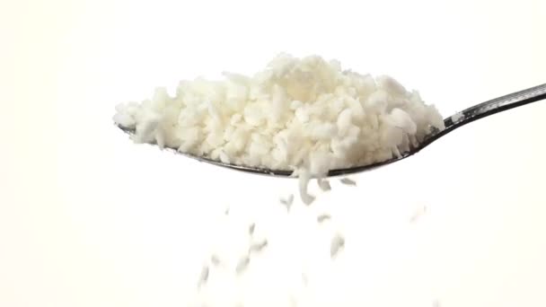 Coconut shaving falling from the iron spoon. White background. Slow motion — Stock Video