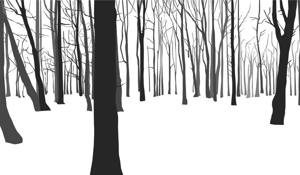 Orman ağaçları siluetleri — Stok fotoğraf