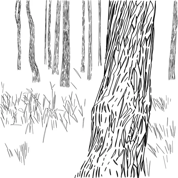 Waldgrafische Komposition — Stockfoto