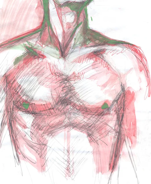 Dettaglio torso colorato — Foto Stock