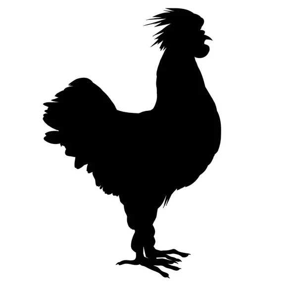 Cockerel silhouette isolated — Stock Photo, Image