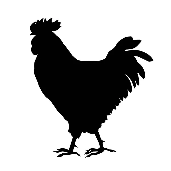 Silhouette di un gallo — Foto Stock