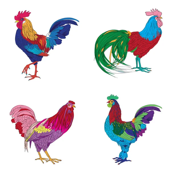 Vier hanen serie — Stockfoto