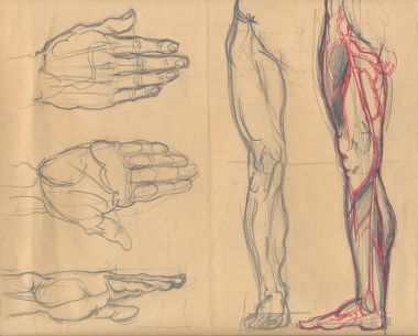 leg and palm sketches clipart