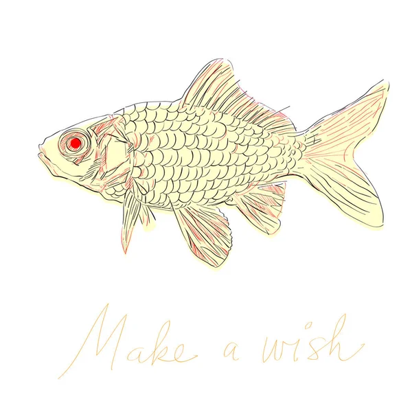 Gold fish common — 图库照片