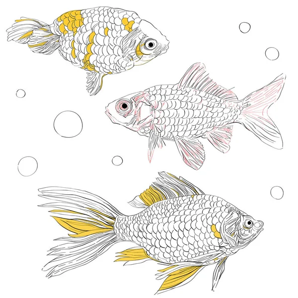 三只金鱼的一系列图画 用白色的手绘的艺术草图隔开 — 图库照片