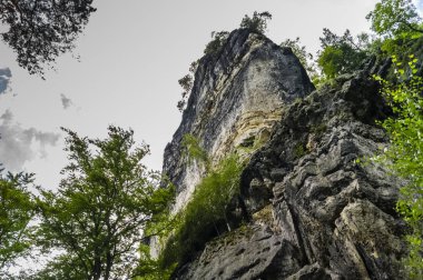 Woods ve kumtaşı kaya