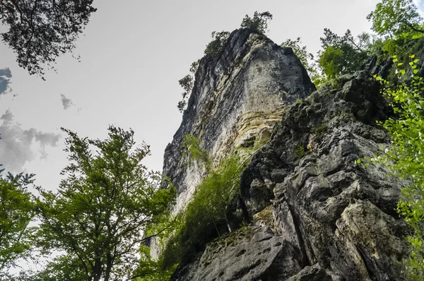 Woods ve kumtaşı kaya