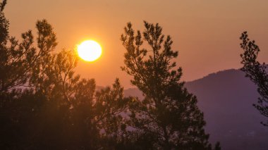 Çek Cumhuriyeti Capska Palice görünümü