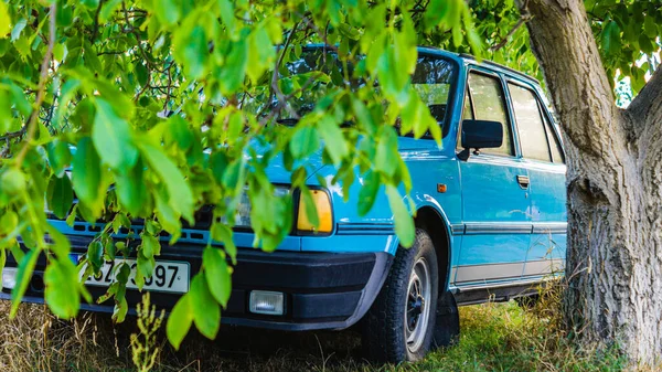 Carro velho sob uma árvore verde na República Checa Fotografias De Stock Royalty-Free