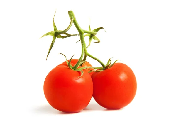 Tomates fraîches isolées sur blanc — Photo