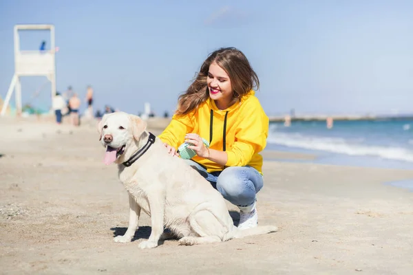 Schöne junge Frau, die mit dem Hund am Strand spazieren geht — Stockfoto