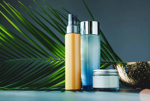 Conjunto Produtos Cosméticos Naturais Para Rotina Diária Beleza Com Uma Imagens De Bancos De Imagens