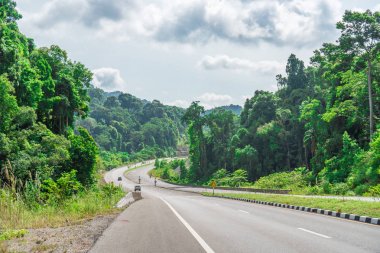 Dağ yolundan yağmurlu sezonu.