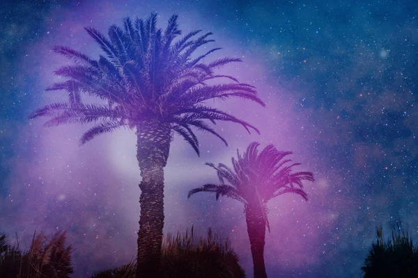 Bela Paisagem Surreal Abstrato Palmeira Espaço Conceito Colagem Cosmos Cores — Fotografia de Stock
