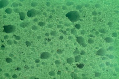 Yeşil Sünger arka plan dokusunu kapatın. Makro fotoğrafçılık görünümü.