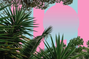 Güzel soyut gerçeküstü manzara palmiye ağacı kolajı, çağdaş renkler ve sosyal altyapı.