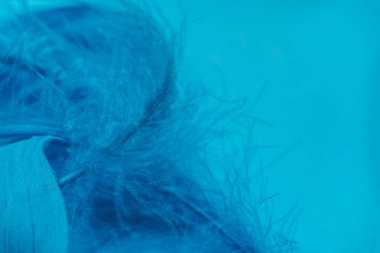 Güzel Hayalet Mavi trendler tüy desenli doku arka planı. Makro fotoğrafçılık görünümü. 