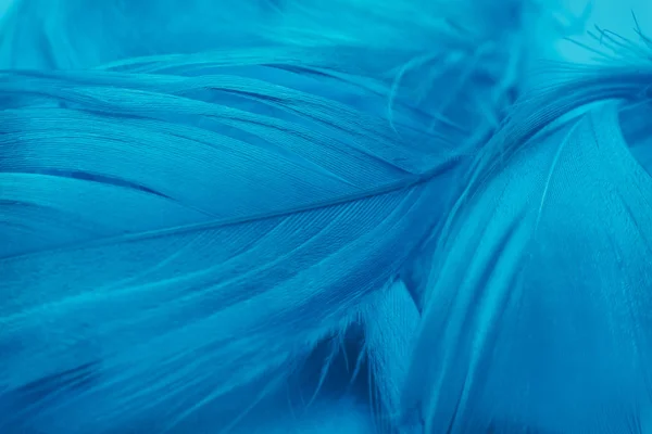 美丽的幻影蓝色趋势羽毛图案纹理背景 宏观摄影视图 — 图库照片
