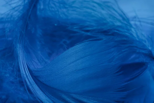Κοντινό Πλάνο Beautiful Blue Τάσεις Μοτίβο Φτερό Υφή Φόντο Μακροσκοπική — Φωτογραφία Αρχείου