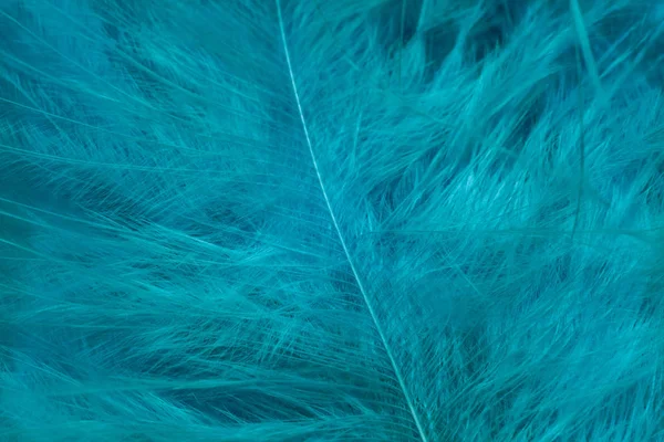 Κοντινό Πλάνο Beautiful Aqua Menthe Τάσεις Φτερό Μοτίβο Υφή Φόντο — Φωτογραφία Αρχείου
