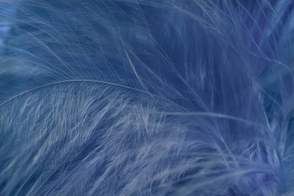 Güzel Hayalet Mavi Trendleri Tüy Desenli Doku Arka Planını Kapatın — Stok fotoğraf