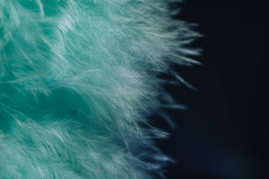 Güzel Aqua Menthe akımları, tüy desenli arka planı kapatın. Makro fotoğrafçılık görünümü