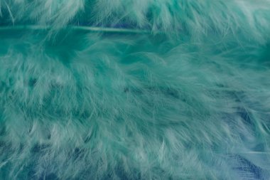 Güzel yeşil trendleri kapatın kuş tüyü desenli arka plan. Makro fotoğrafçılık görünümü. 