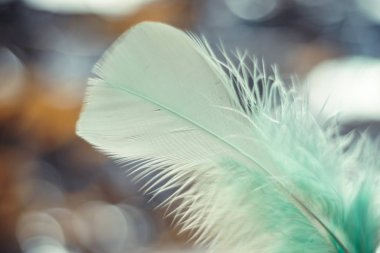 Tasarım dokusu için güzel gri kuş tüyü desenli arkaplanı kapat. Makro fotoğrafçılık görünümü. 