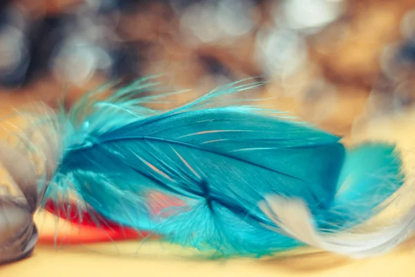 Tasarım Dokusu Için Bir Bokeh Arkaplan Üzerindeki Güzel Mavi Kuş — Stok fotoğraf