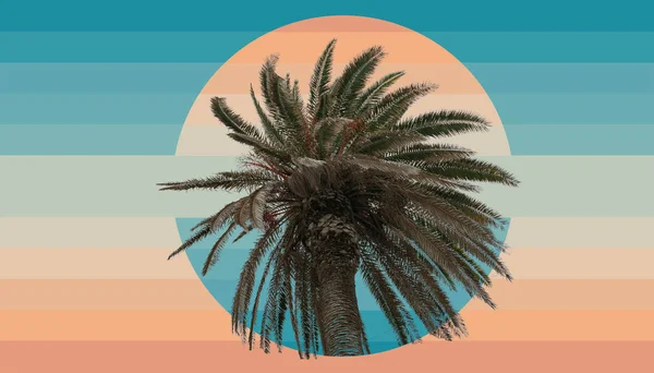 Krásné Abstraktní Surrealistické Palmy Geometrické Krajiny Koláž Koncept Moderní Barvy — Stock fotografie